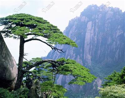 开业选日子:如何挑选黄道吉日