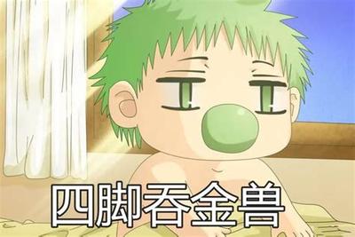 2026年摆放绿植转运方法大全