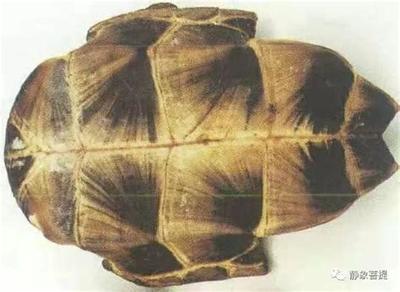 如何用塔罗牌看人际关系？一看就会教程