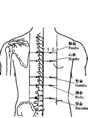 面相眉毛的20种类型及其命理含义